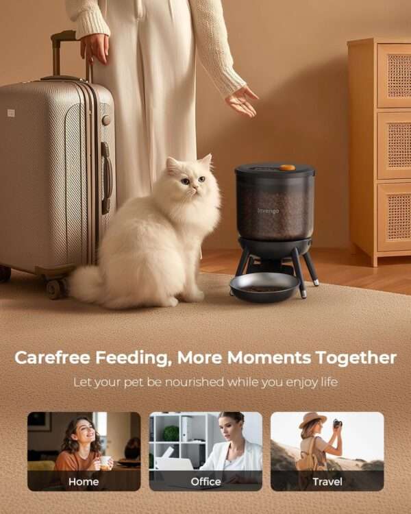 Comedero automático para gatos, programable, con doble fuente de alimentación y capacidad de 3 litros en Chile.