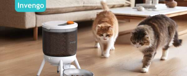 Comedero automático para gatos, programable, con doble fuente de alimentación y capacidad de 3 litros en Chile.