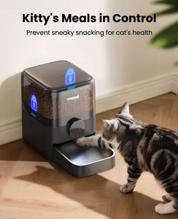 Comedero automático para gatos, programable, con capacidad de 3 litros, ideal para croquetas grandes en Chile.