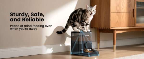 Comedero automático para gatos, programable, con capacidad de 3 litros, ideal para croquetas grandes en Chile.