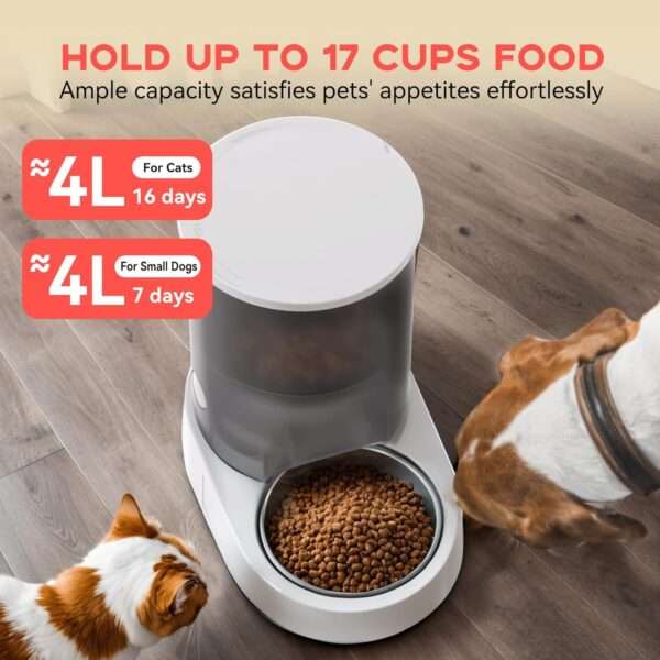 Comedero automático para gatos, con batería recargable, capacidad de 4 litros y Wi-Fi de doble banda en Chile.