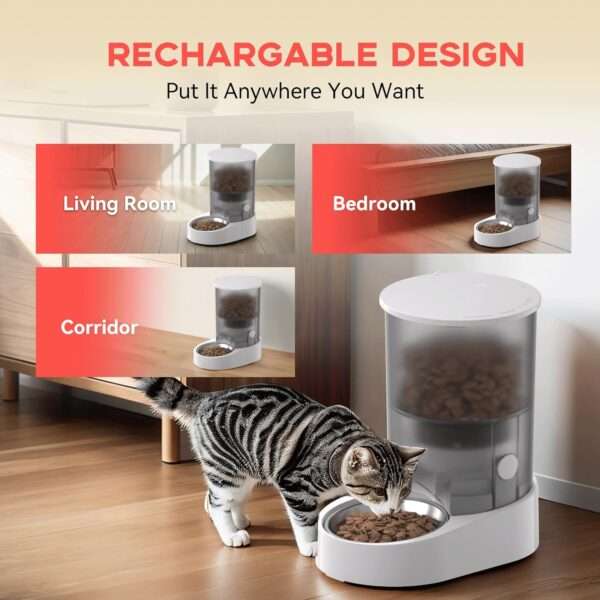 Comedero automático para gatos, con batería recargable, capacidad de 4 litros y Wi-Fi de doble banda en Chile.
