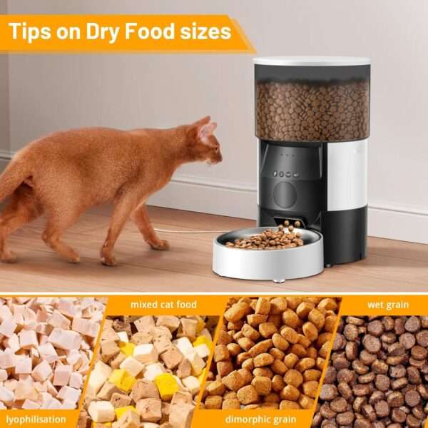 Comedero automático Wi-Fi para gatos y perros, capacidad de 3 litros, con control por aplicación para Chile.