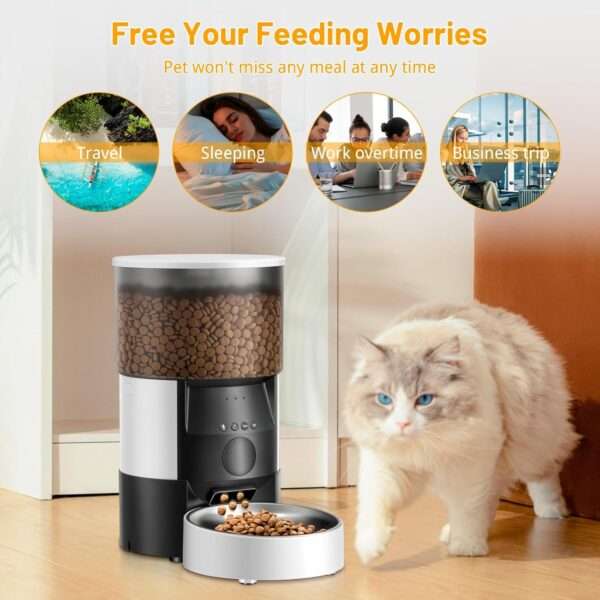 Comedero automático Wi-Fi para gatos y perros, capacidad de 3 litros, con control por aplicación para Chile.