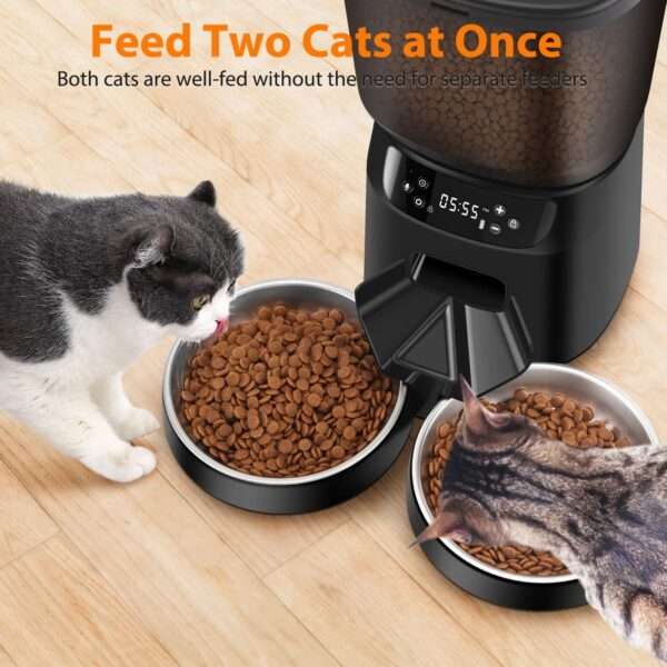 Comedero automático para 2 gatos, programable, con cuencos dobles de acero inoxidable y capacidad de 5 litros en Chile.