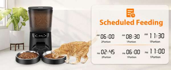 Comedero automático para 2 gatos, programable, con cuencos dobles de acero inoxidable y capacidad de 5 litros en Chile.