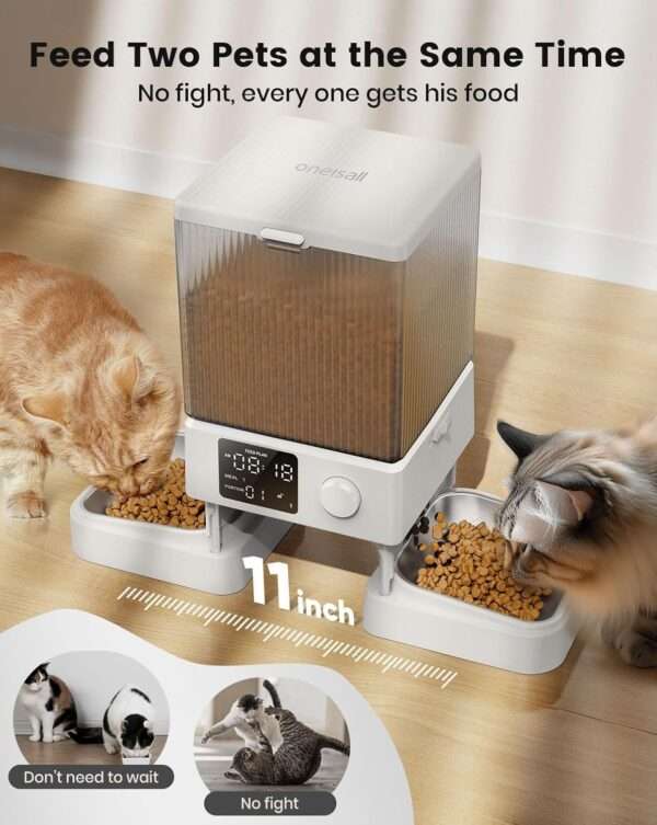 Comedero automático para 2 gatos, capacidad de 5 litros, ideal para mascotas pequeñas en Chile.
