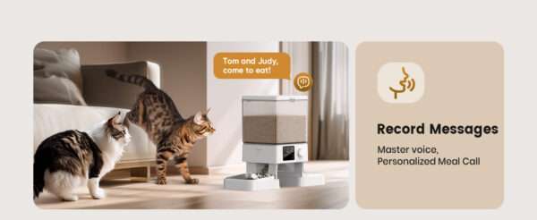 Comedero automático para 2 gatos, capacidad de 5 litros, ideal para mascotas pequeñas en Chile.