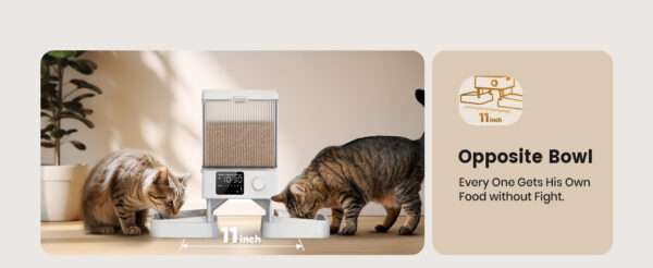 Comedero automático para 2 gatos, capacidad de 5 litros, ideal para mascotas pequeñas en Chile.