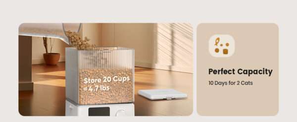 Comedero automático para 2 gatos, capacidad de 5 litros, ideal para mascotas pequeñas en Chile.