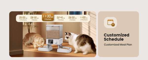Comedero automático para 2 gatos, capacidad de 5 litros, ideal para mascotas pequeñas en Chile.