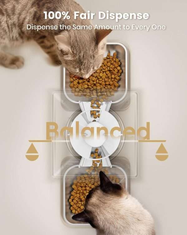 Comedero automático para 2 gatos, capacidad de 5 litros, ideal para mascotas pequeñas en Chile.