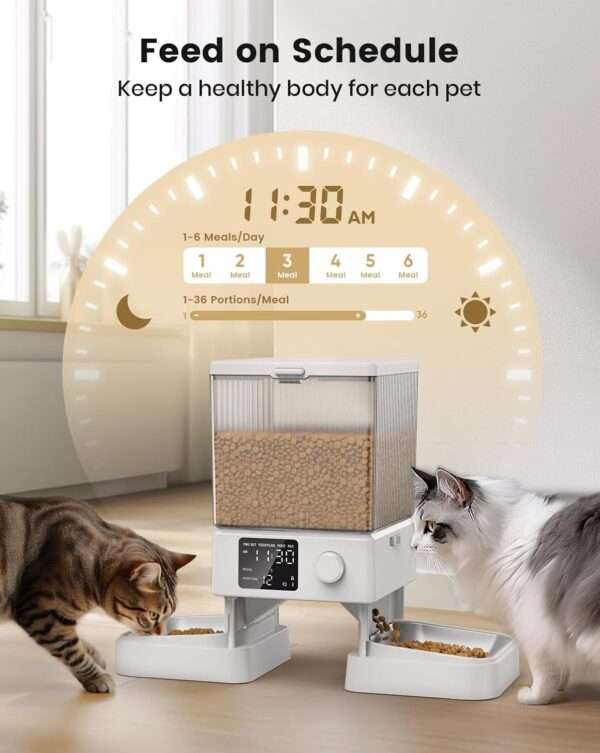 Comedero automático para 2 gatos, capacidad de 5 litros, ideal para mascotas pequeñas en Chile.