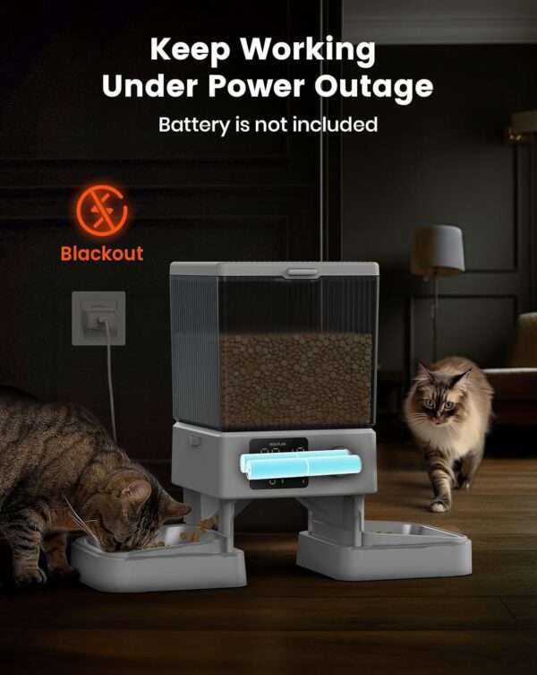 Comedero automático para 2 gatos, capacidad de 5 litros, ideal para mascotas pequeñas en Chile.