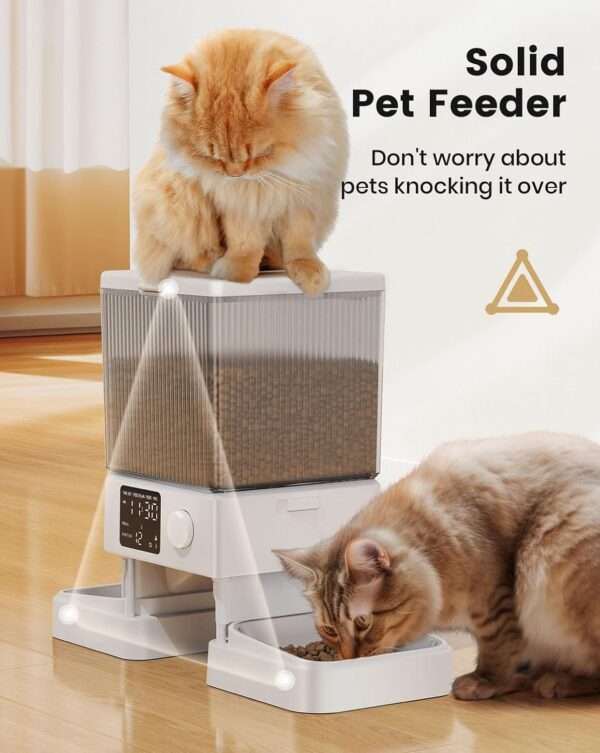 Comedero automático para 2 gatos, capacidad de 5 litros, ideal para mascotas pequeñas en Chile.