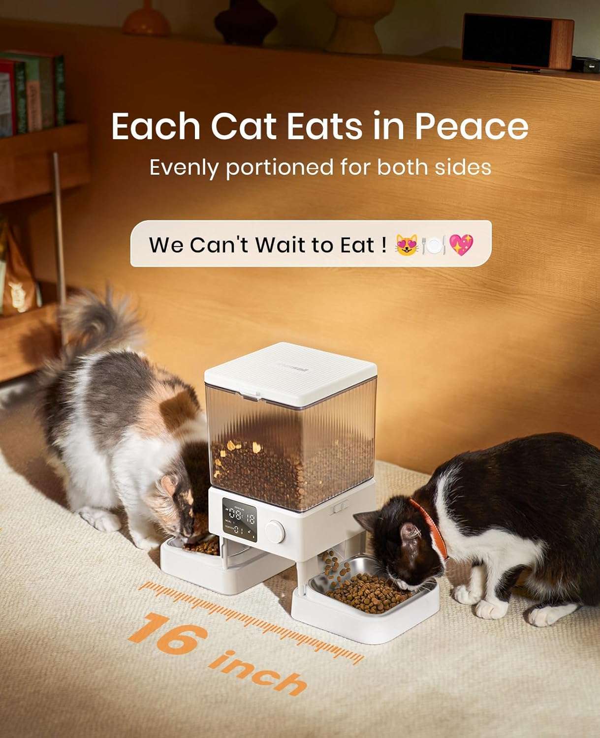 Comedero automático para 2 gatos, capacidad de 5 litros, ideal para mascotas pequeñas en Chile.