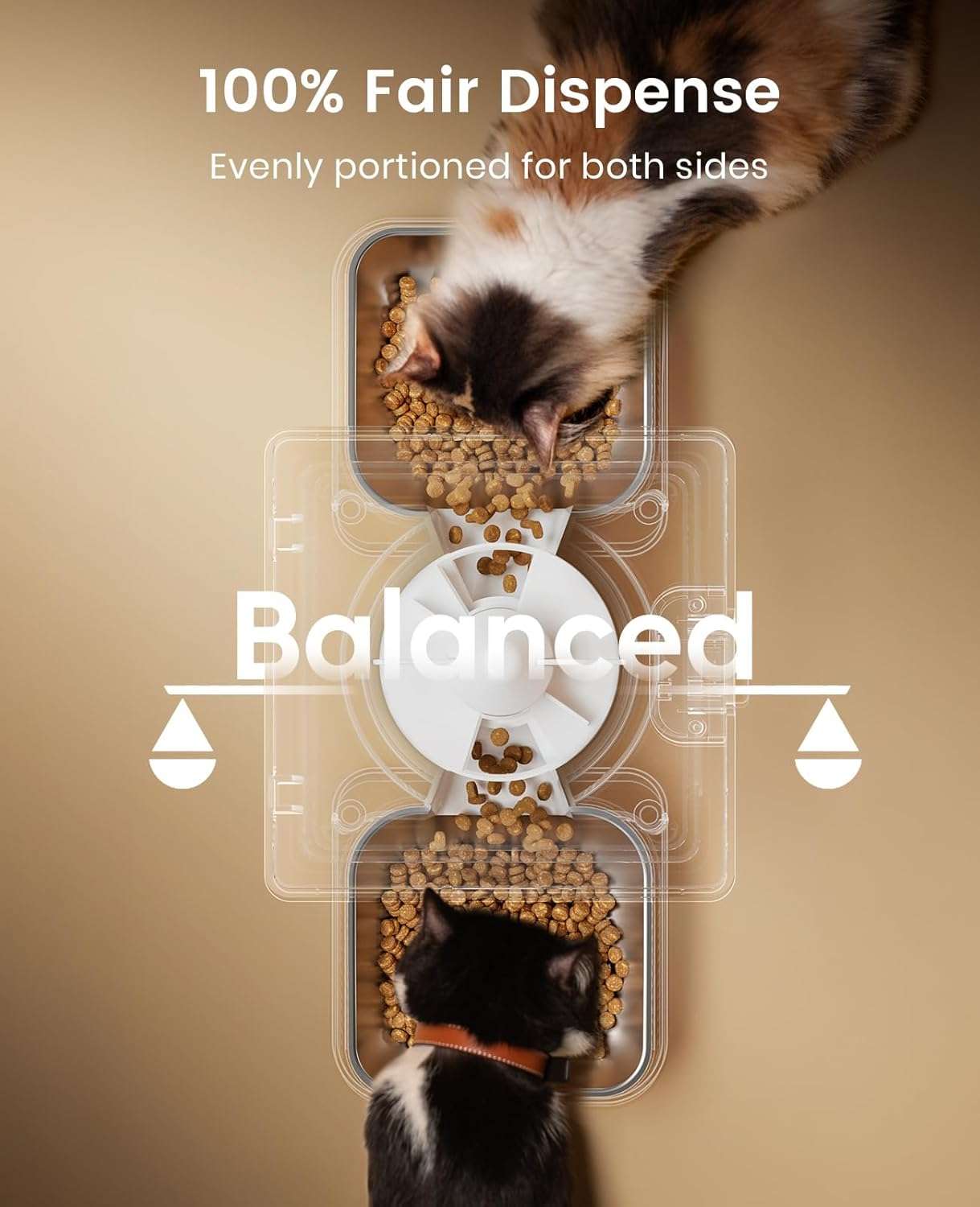 Comedero automático para 2 gatos, capacidad de 5 litros, ideal para mascotas pequeñas en Chile.