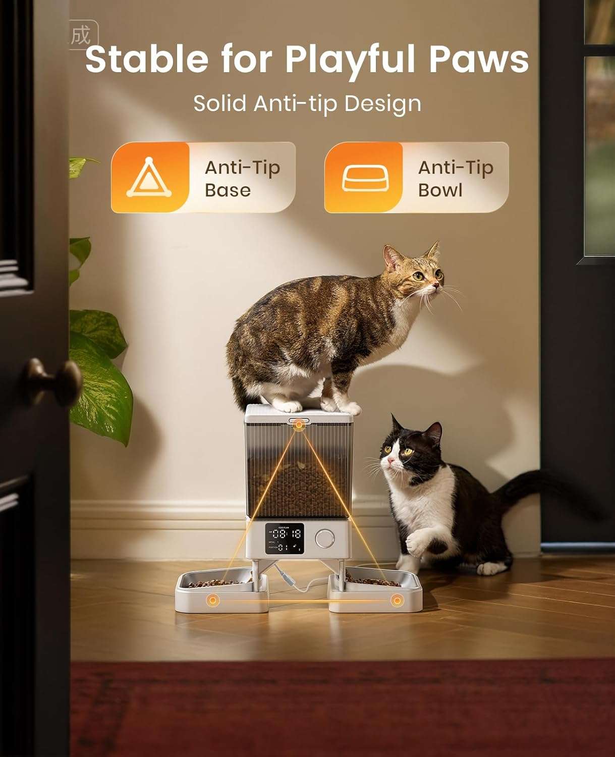 Comedero automático para 2 gatos, capacidad de 5 litros, ideal para mascotas pequeñas en Chile.