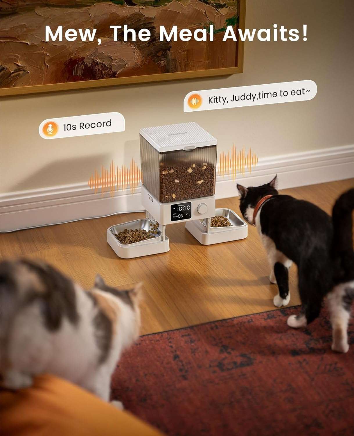 Comedero Automático para 2 Gatos (5 L) - Dispensador para Mascotas Pequeñas - Imagen 8