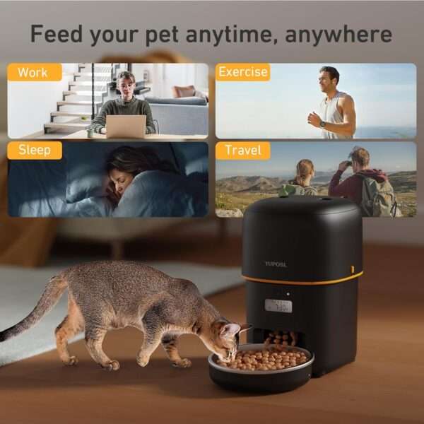 Comedero automático para gatos de 2 litros, programable, con batería de larga duración, ideal para Chile.