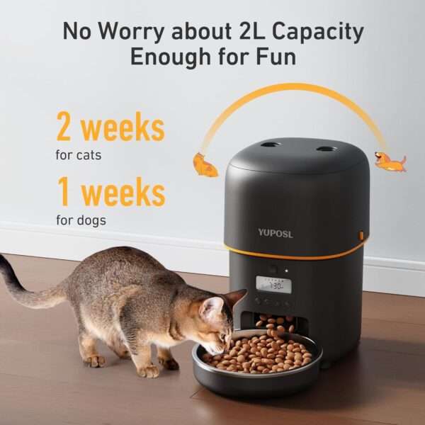 Comedero automático para gatos de 2 litros, programable, con batería de larga duración, ideal para Chile.