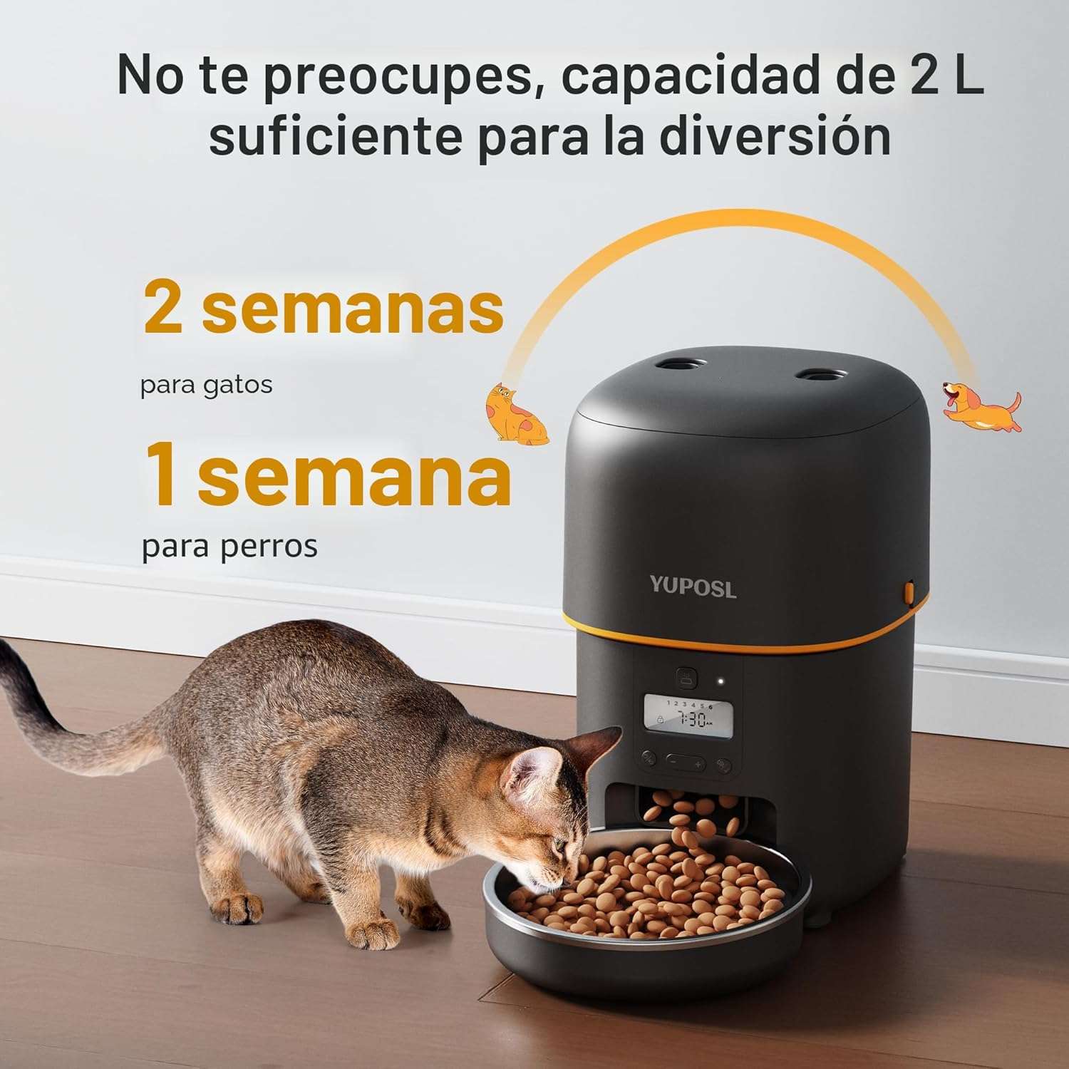 Comedero automático para gatos de 2 litros, programable, con batería de larga duración, ideal para Chile.