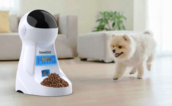 Comedero automático para gatos, programable, con grabadora de voz, capacidad de 3 litros y doble fuente de alimentación en Chile.