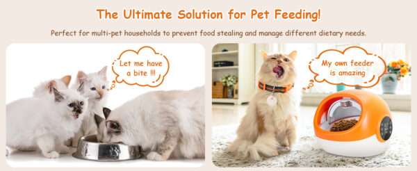 Comedero automático para gatos con sensor de microchip y doble fuente de alimentación, ideal para Chile.