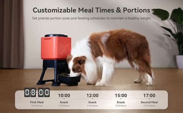 Comedero automático para perros grandes, gran capacidad de 14 litros, con sistema anti-bloqueo para Chile.
