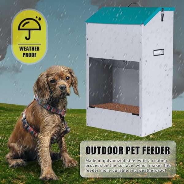 Comedero automático para perros grandes, de acero galvanizado, con capacidad de 22 kg, ideal para Chile.