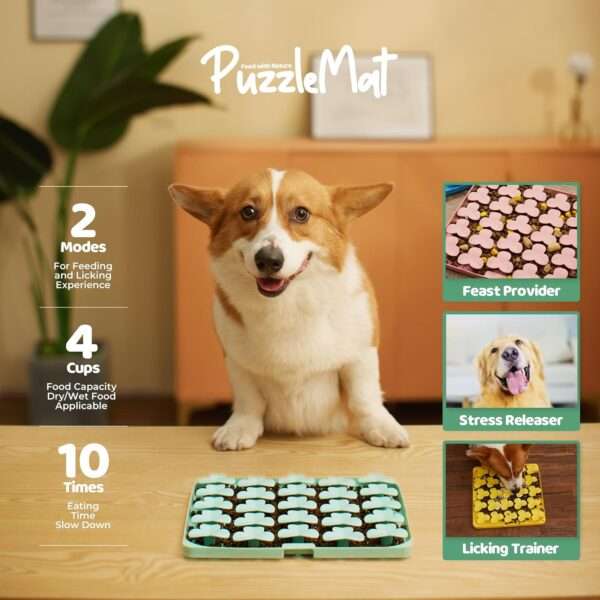 Tazón de alimentación lenta para perros de todas las razas. Es un plato de silicona con base antideslizante.