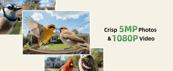 Comedero de madera para pájaros con cámara IA, alarma anti-ardillas y resistencia a la intemperie.
