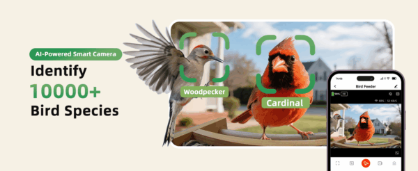 Comedero de madera para pájaros con cámara IA, alarma anti-ardillas y resistencia a la intemperie.