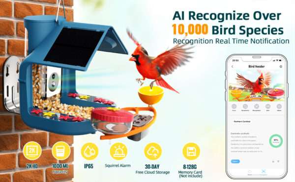 Comedero solar para pájaros con cámara 2K, detección de IA y accesorios DIY.
