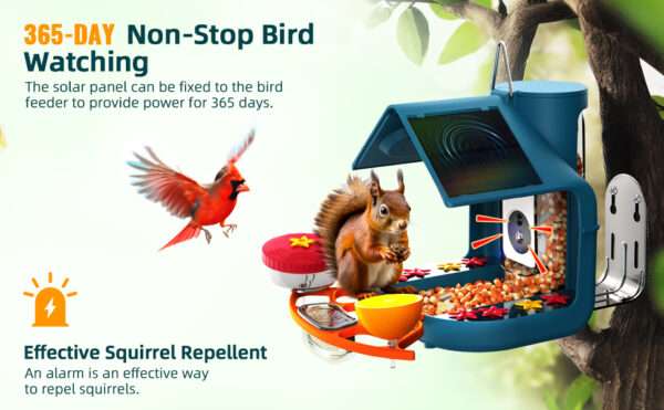 Comedero solar para pájaros con cámara 2K, detección de IA y accesorios DIY.