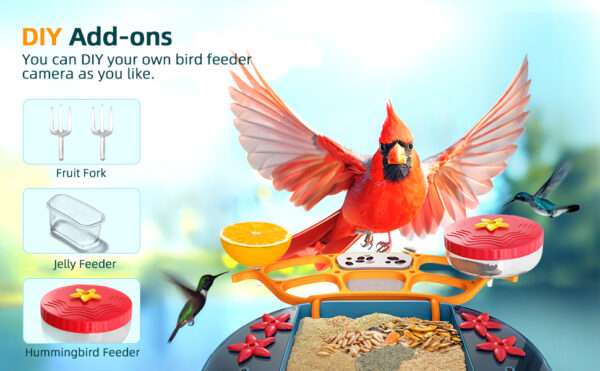 Comedero solar para pájaros con cámara 2K, detección de IA y accesorios DIY.