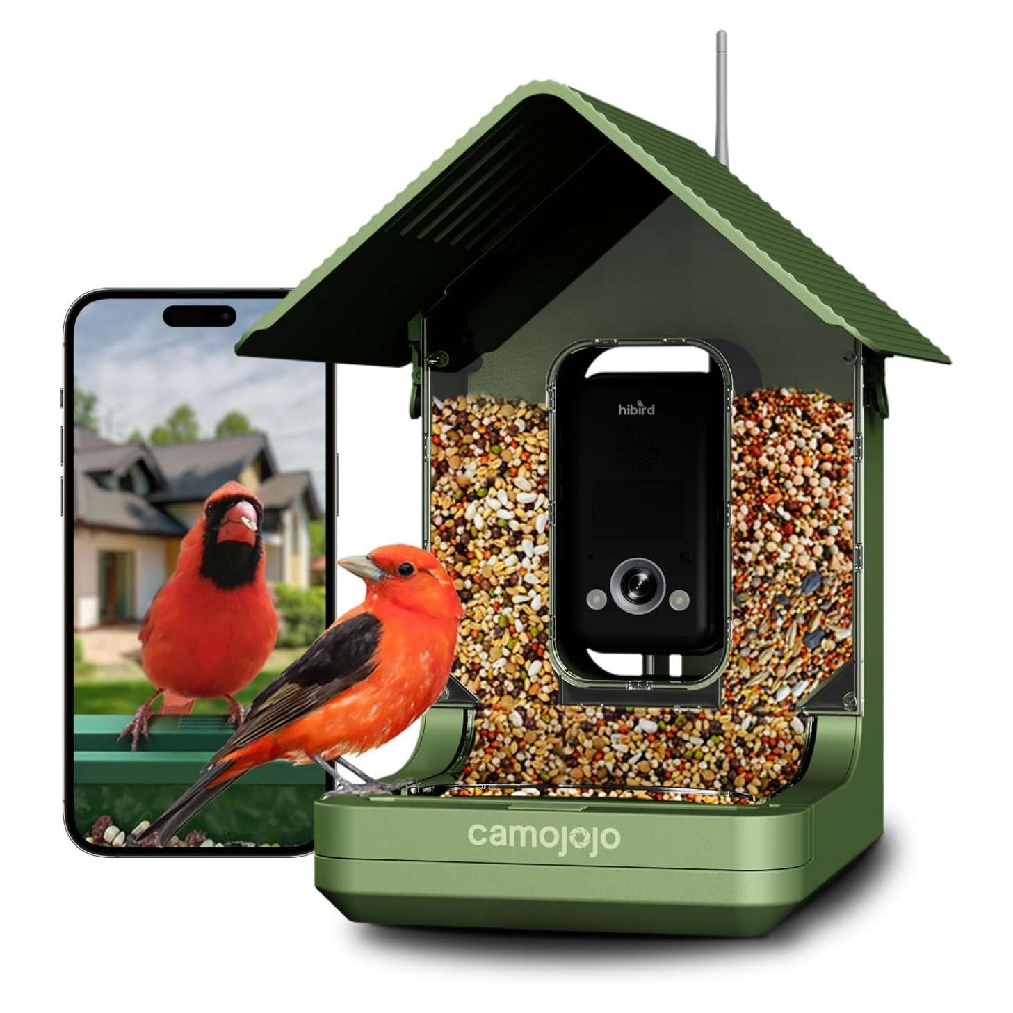 Comedero para pájaros con cámara 4K, detección de IA y Wi-Fi Dual Band, para observación de aves en exteriores.
