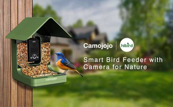 Comedero para pájaros con cámara 4K, detección de IA y Wi-Fi Dual Band, para observación de aves en exteriores.