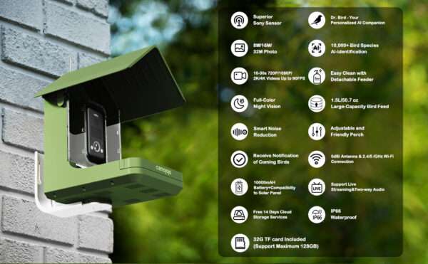Comedero para pájaros con cámara 4K, detección de IA y Wi-Fi Dual Band, para observación de aves en exteriores.