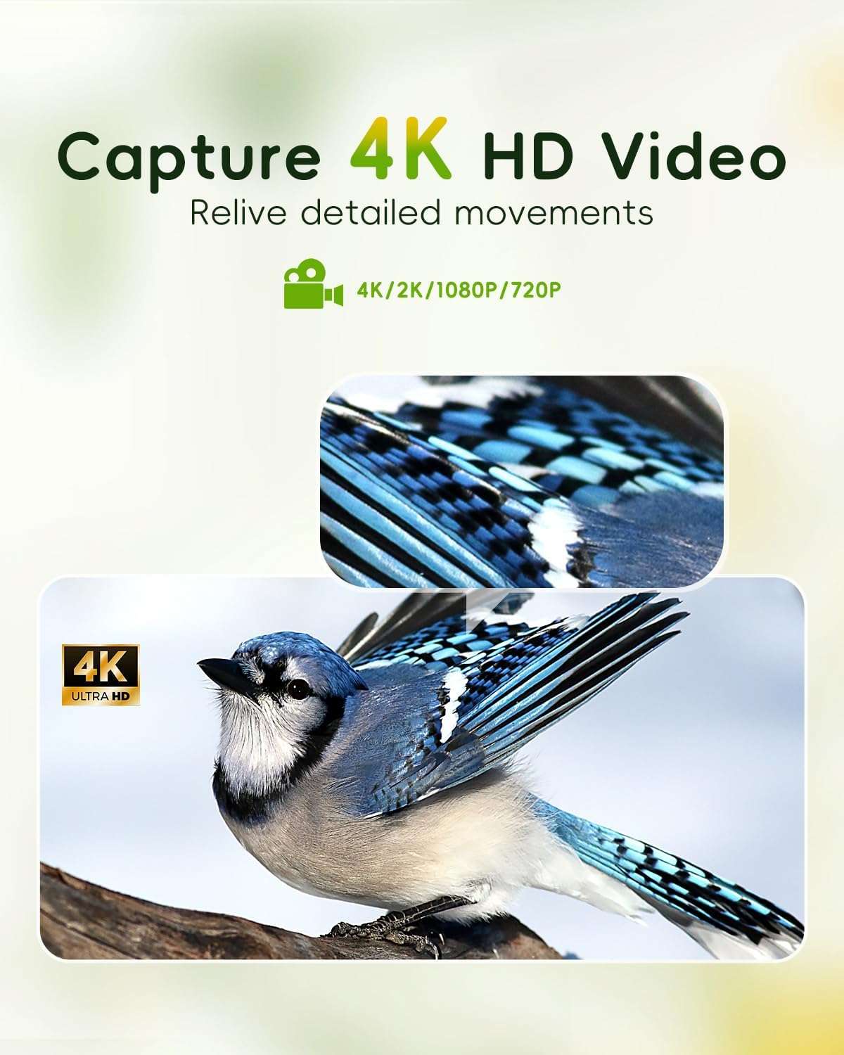 Comedero para pájaros con cámara 4K, detección de IA y Wi-Fi Dual Band, para observación de aves en exteriores.