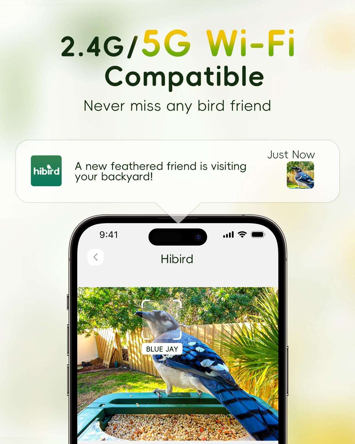 Comedero para pájaros con cámara 4K, detección de IA y Wi-Fi Dual Band, para observación de aves en exteriores.