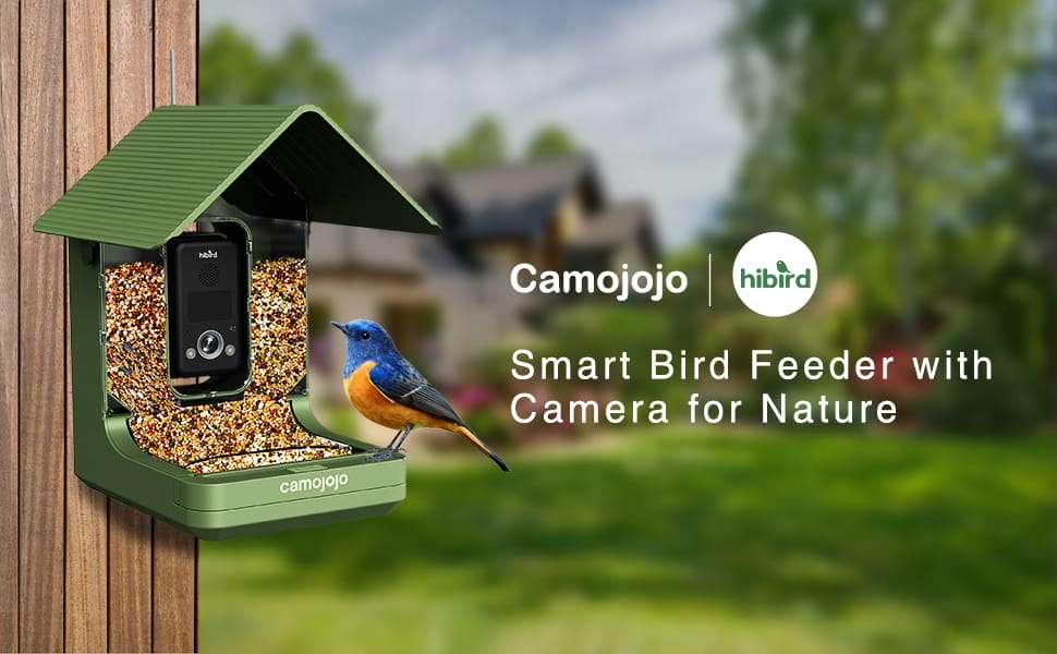 Comedero para Pájaros con Cámara 4K - Detección IA y Wi-Fi Dual Band - Imagen 9