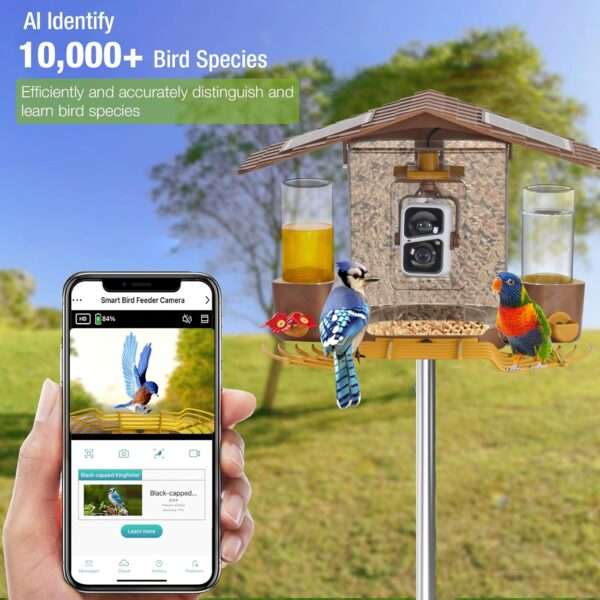 Comedero solar inteligente para pájaros con cámara AI, identificación de aves y video HD.
