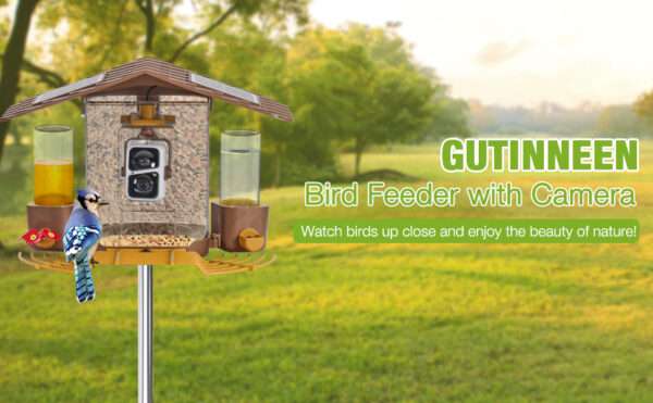 Comedero solar inteligente para pájaros con cámara AI, identificación de aves y video HD.