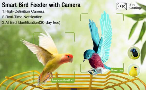 Comedero solar inteligente para pájaros con cámara AI, identificación de aves y video HD.