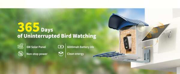Comedero para pájaros con cámara Wi-Fi, energía solar, y detección de aves por inteligencia artificial.
