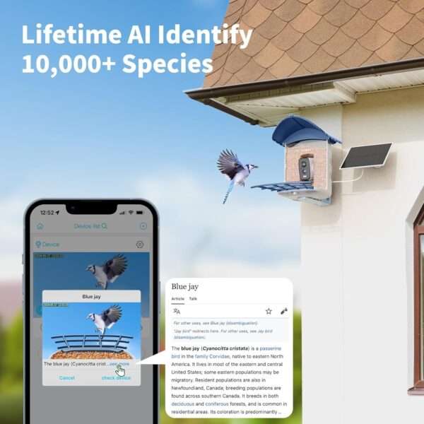Comedero para pájaros con cámara Wi-Fi, energía solar, y detección de aves por inteligencia artificial.