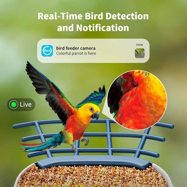 Comedero para pájaros con cámara Wi-Fi, energía solar, y detección de aves por inteligencia artificial.