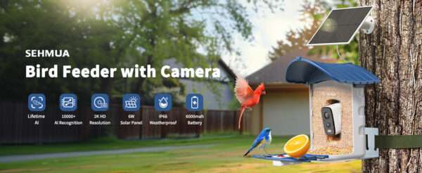 Comedero para pájaros con cámara Wi-Fi, energía solar, y detección de aves por inteligencia artificial.