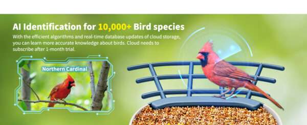 Comedero para pájaros con cámara Wi-Fi, energía solar, y detección de aves por inteligencia artificial.